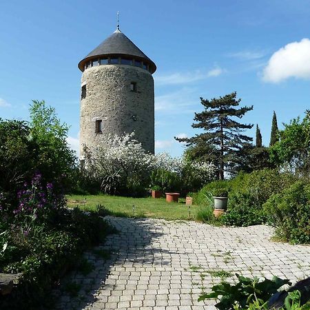 Au Moulin Geant Bed & Breakfast Rochefort-sur-Loire Ngoại thất bức ảnh
