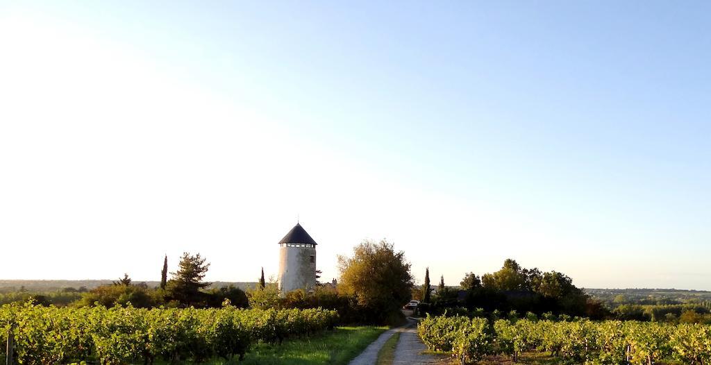 Au Moulin Geant Bed & Breakfast Rochefort-sur-Loire Ngoại thất bức ảnh