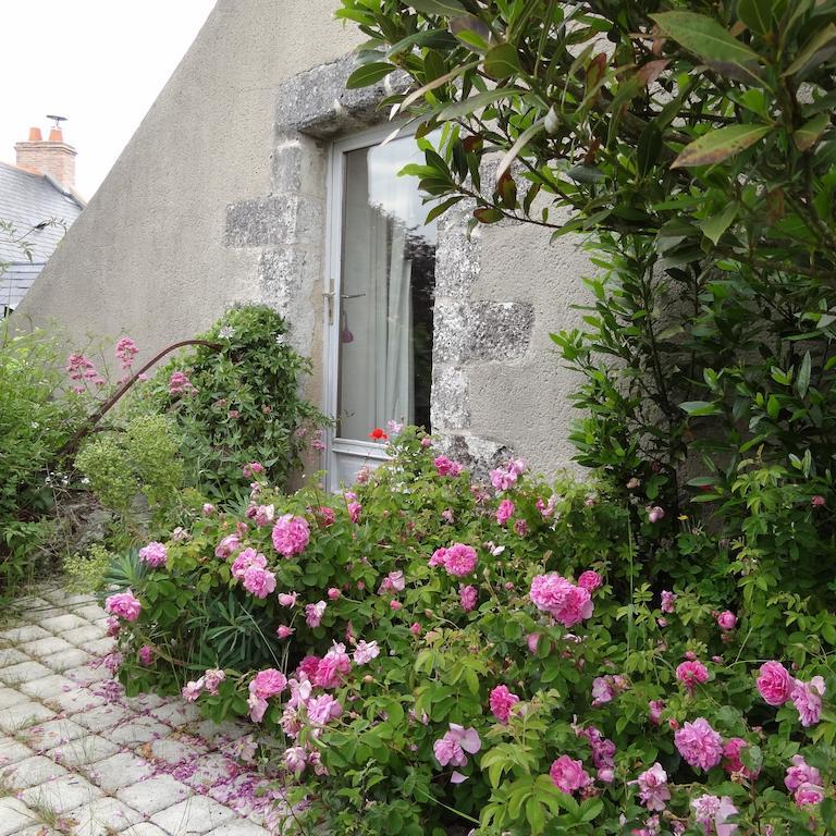 Au Moulin Geant Bed & Breakfast Rochefort-sur-Loire Phòng bức ảnh