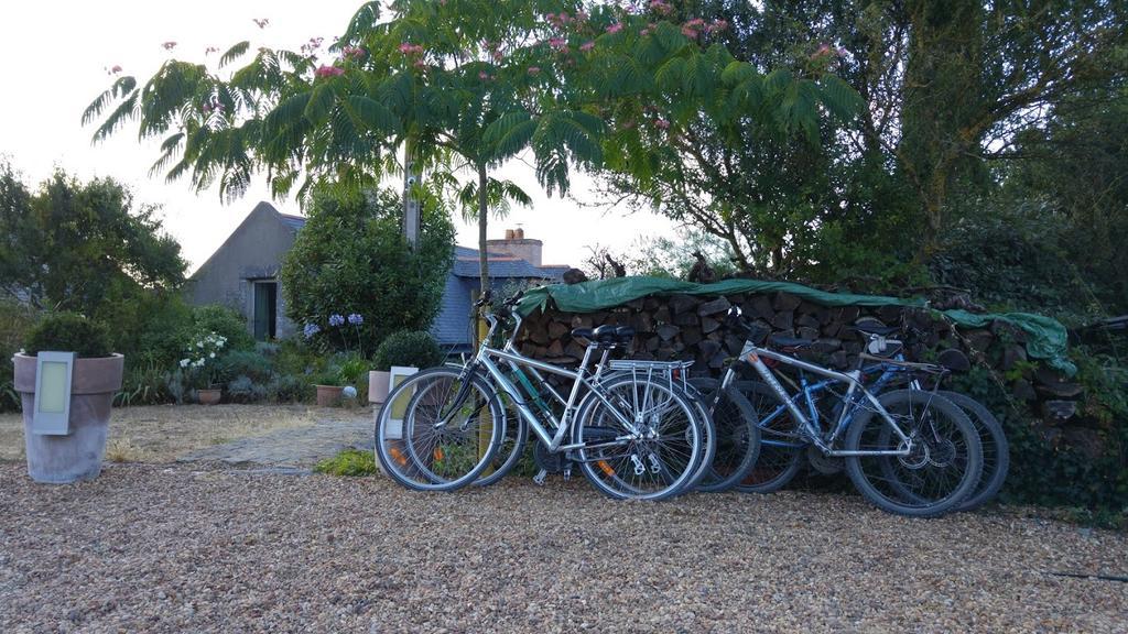 Au Moulin Geant Bed & Breakfast Rochefort-sur-Loire Ngoại thất bức ảnh